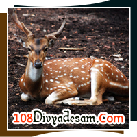 108 divyadesams near thrissur